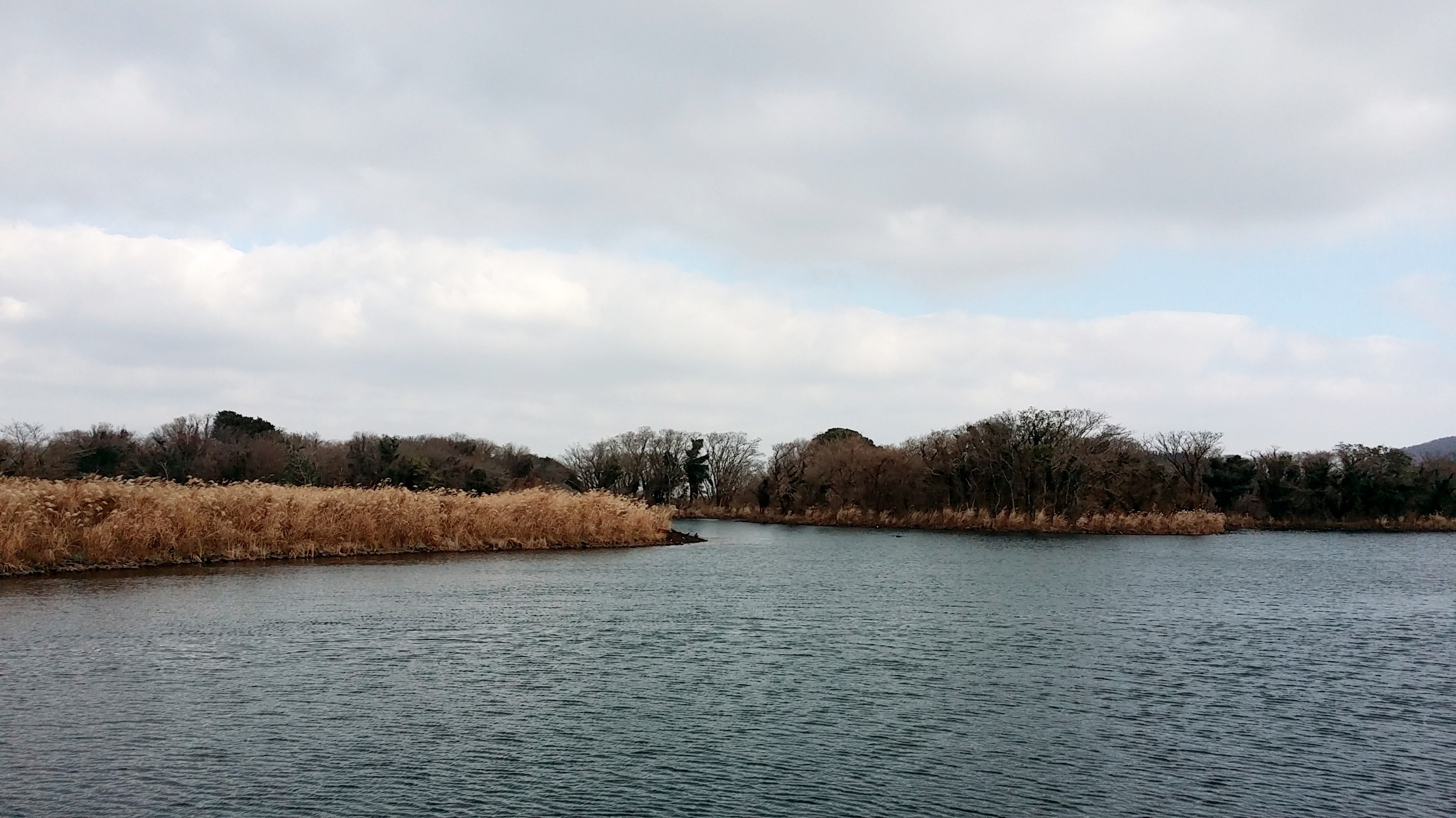 [제주여행] 제주도 3박 4일 특가여행