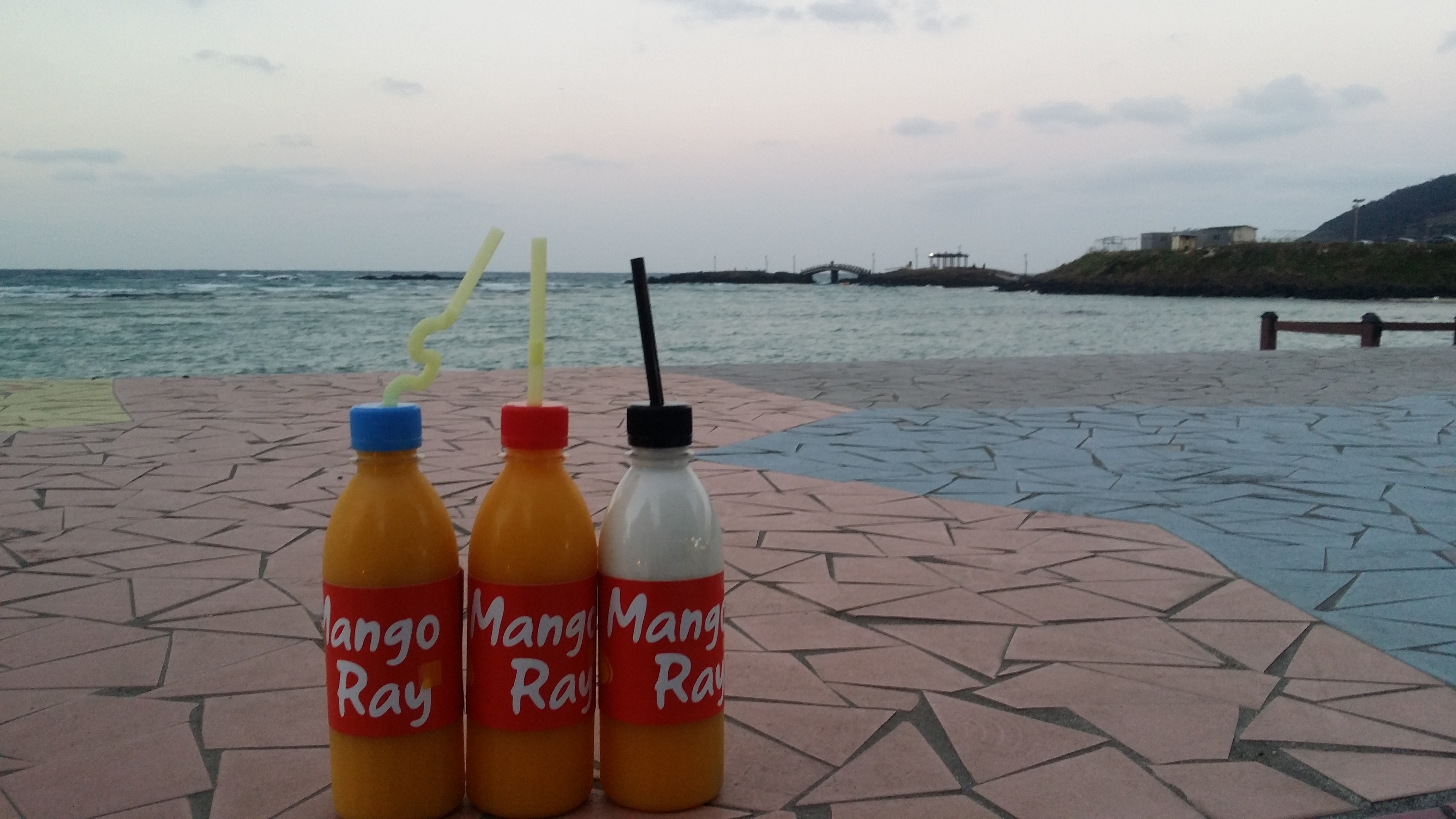 [제주여행] 제주도 3박 4일 특가여행